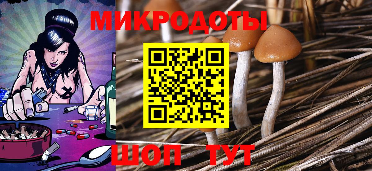 Псилоцибиновые грибы MAGIC MUSHROOMS  Вход с VPN  Галлюциногенные грибы прущие грибы  Мичуринск 